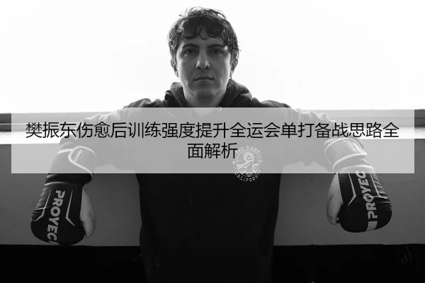 樊振东伤愈后训练强度提升全运会单打备战思路全面解析