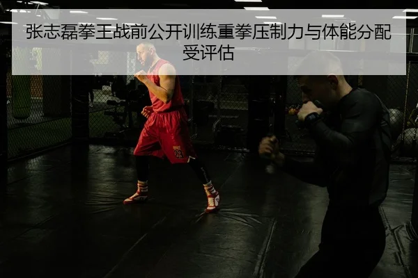 张志磊拳王战前公开训练重拳压制力与体能分配受评估